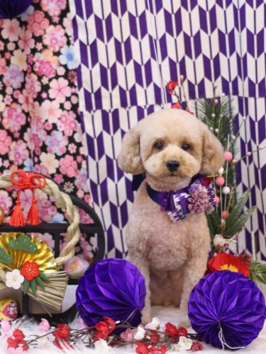 20240109モナカくん